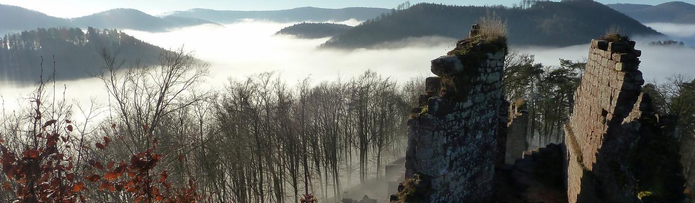 Château dans la brume